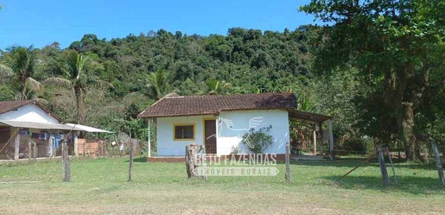 Fazenda Produtiva 607 Alqueires Rio São João Passa por Dentro | Silva Jardim/ RJ