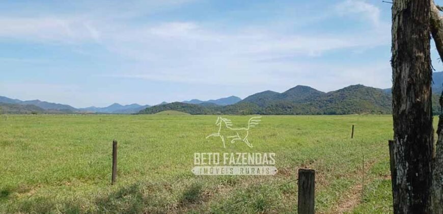 Fazenda Produtiva 607 Alqueires Rio São João Passa por Dentro | Silva Jardim/ RJ