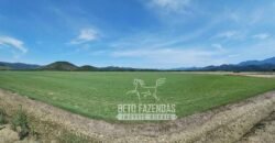 Fazenda Produtiva 607 Alqueires Rio São João Passa por Dentro | Silva Jardim/ RJ