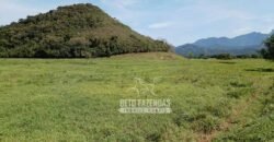 Fazenda Produtiva 607 Alqueires Rio São João Passa por Dentro | Silva Jardim/ RJ