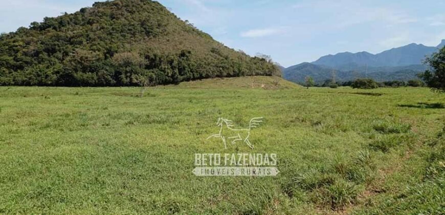 Fazenda Produtiva 607 Alqueires Rio São João Passa por Dentro | Silva Jardim/ RJ