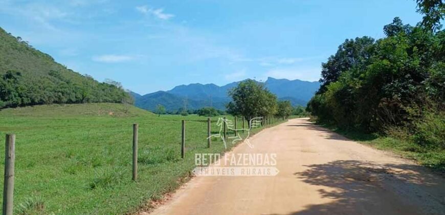Fazenda Produtiva 607 Alqueires Rio São João Passa por Dentro | Silva Jardim/ RJ
