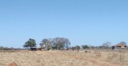 Fazenda Produtiva 13.977 ha Infra Completa no Vale do Araguaia | Cocalinho /MT