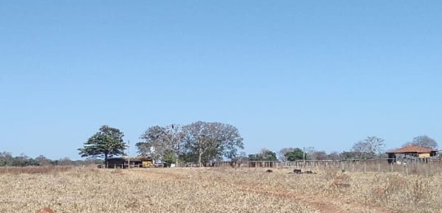 Fazenda Produtiva 13.977 ha Infra Completa no Vale do Araguaia | Cocalinho /MT