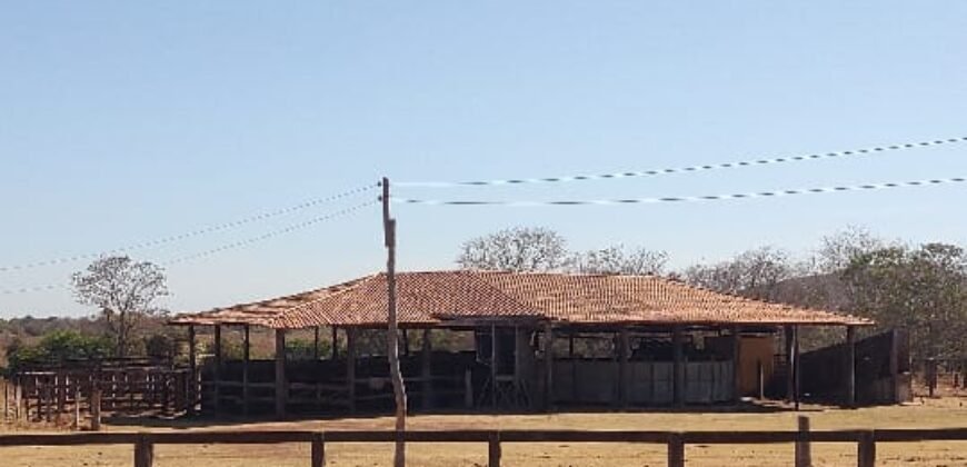 Fazenda Produtiva 13.977 ha Infra Completa no Vale do Araguaia | Cocalinho /MT