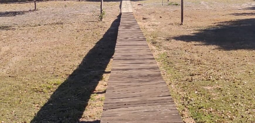 Fazenda Produtiva 13.977 ha Infra Completa no Vale do Araguaia | Cocalinho /MT