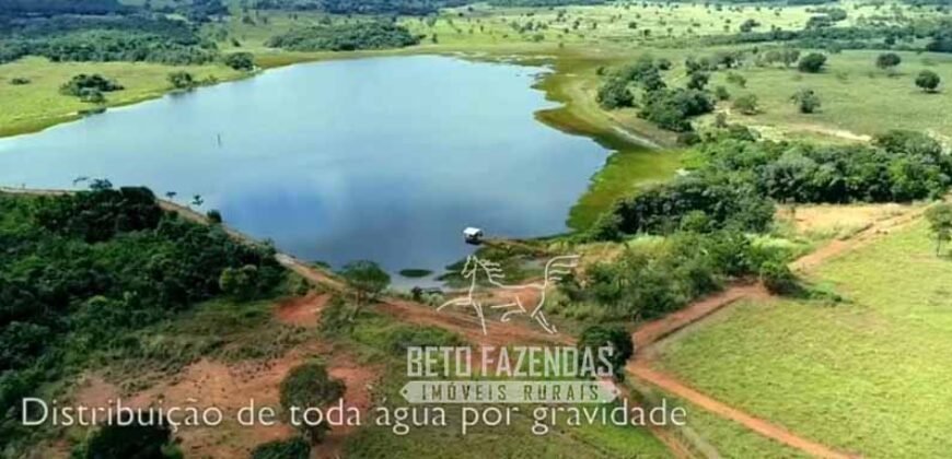 Fazenda Produtiva 13.977 ha Infra Completa no Vale do Araguaia | Cocalinho /MT