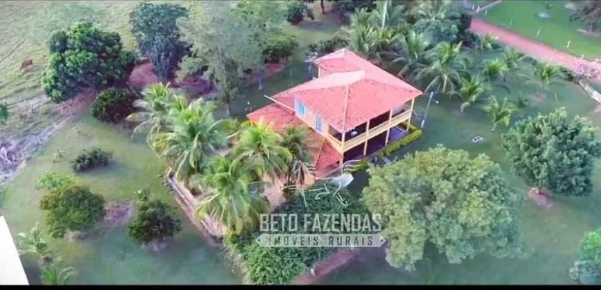 Fazenda Produtiva 13.977 ha Infra Completa no Vale do Araguaia | Cocalinho /MT