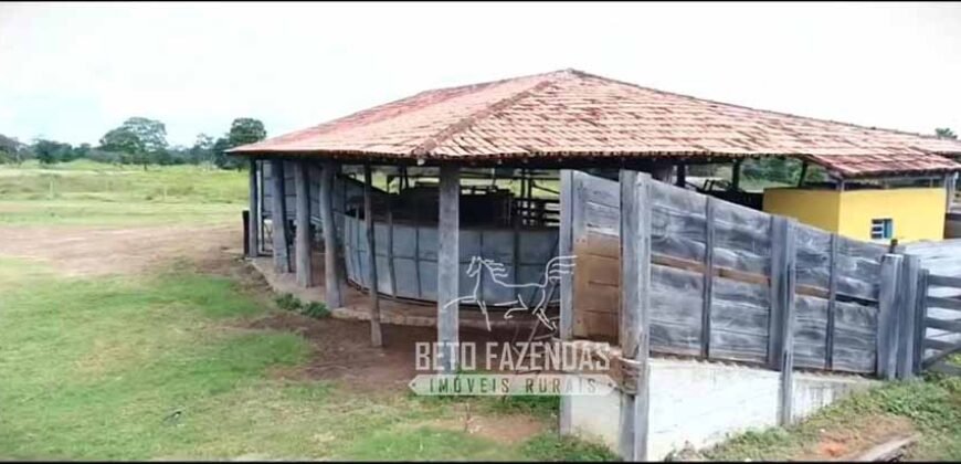 Fazenda Produtiva 13.977 ha Infra Completa no Vale do Araguaia | Cocalinho /MT
