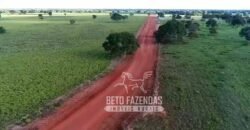 Fazenda Produtiva 13.977 ha Infra Completa no Vale do Araguaia | Cocalinho /MT
