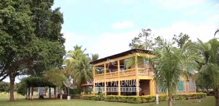 Fazenda Produtiva 13.977 ha Infra Completa no Vale do Araguaia | Cocalinho /MT