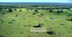 Fazenda Produtiva 13.977 ha Infra Completa no Vale do Araguaia | Cocalinho /MT