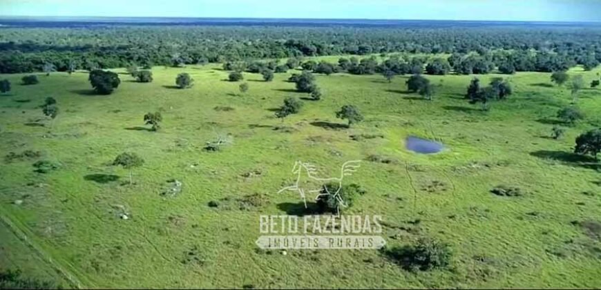 Fazenda Produtiva 13.977 ha Infra Completa no Vale do Araguaia | Cocalinho /MT