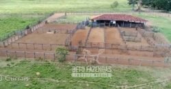 Fazenda Produtiva 13.977 ha Infra Completa no Vale do Araguaia | Cocalinho /MT