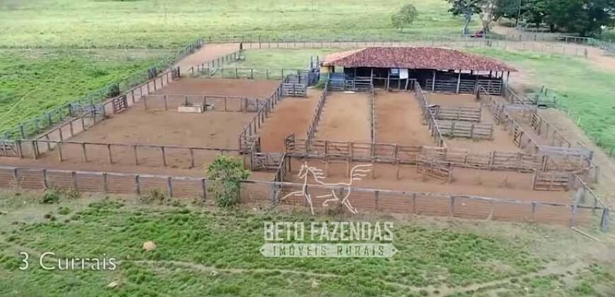 Fazenda Produtiva 13.977 ha Infra Completa no Vale do Araguaia | Cocalinho /MT