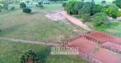 Fazenda Produtiva 13.977 ha Infra Completa no Vale do Araguaia | Cocalinho /MT