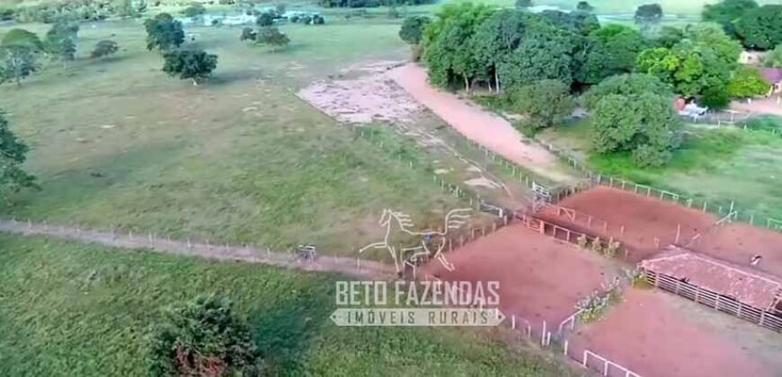 Fazenda Produtiva 13.977 ha Infra Completa no Vale do Araguaia | Cocalinho /MT