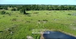 Fazenda Produtiva 13.977 ha Infra Completa no Vale do Araguaia | Cocalinho /MT