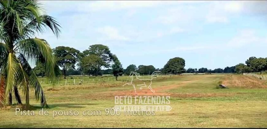 Fazenda Produtiva 13.977 ha Infra Completa no Vale do Araguaia | Cocalinho /MT
