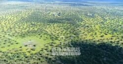 Fazenda Produtiva 13.977 ha Infra Completa no Vale do Araguaia | Cocalinho /MT