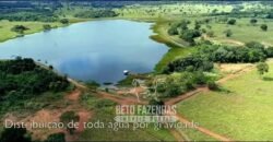 Fazenda Produtiva 13.977 ha Infra Completa no Vale do Araguaia | Cocalinho /MT