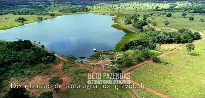 Fazenda Produtiva 13.977 ha Infra Completa no Vale do Araguaia | Cocalinho /MT