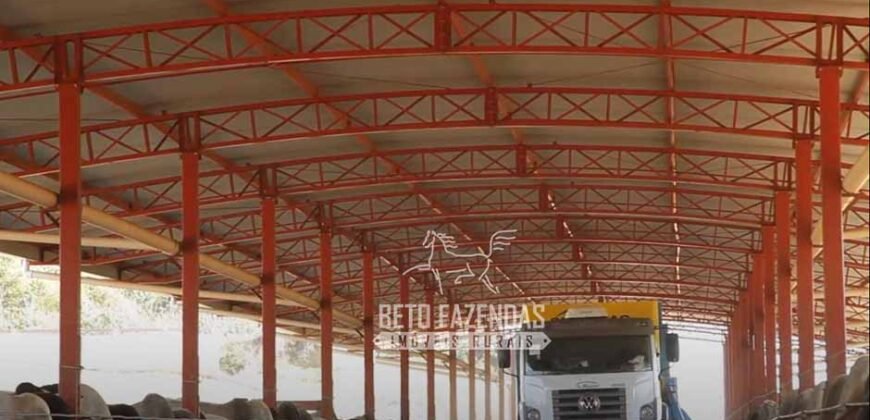 Fazenda à Venda 520 alqueires Infraestrutura Industrial | São João da Boa Vista/ SP