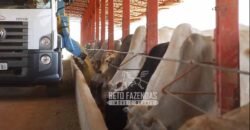 Fazenda à Venda 520 alqueires Infraestrutura Industrial | São João da Boa Vista/ SP