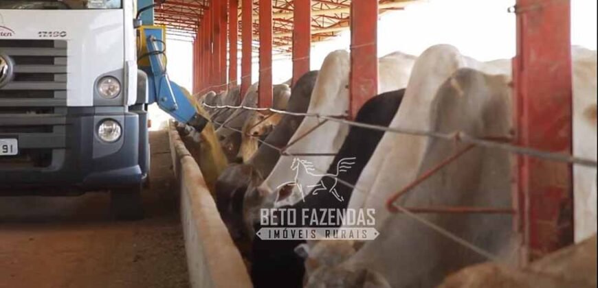 Fazenda à Venda 520 alqueires Infraestrutura Industrial | São João da Boa Vista/ SP