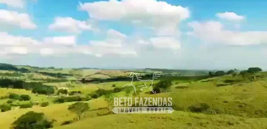 Fazenda à Venda 520 alqueires Infraestrutura Industrial | São João da Boa Vista/ SP