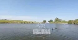 Fazenda à Venda 520 alqueires Infraestrutura Industrial | São João da Boa Vista/ SP