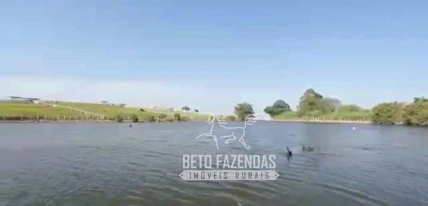 Fazenda à Venda 520 alqueires Infraestrutura Industrial | São João da Boa Vista/ SP