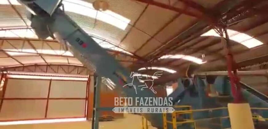 Fazenda à Venda 520 alqueires Infraestrutura Industrial | São João da Boa Vista/ SP