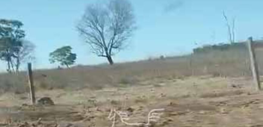 Fazenda Produtiva 13.977 ha Infra Completa no Vale do Araguaia | Cocalinho /MT