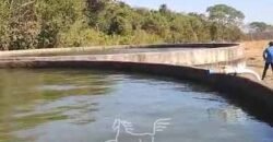 Fazenda Produtiva 13.977 ha Infra Completa no Vale do Araguaia | Cocalinho /MT