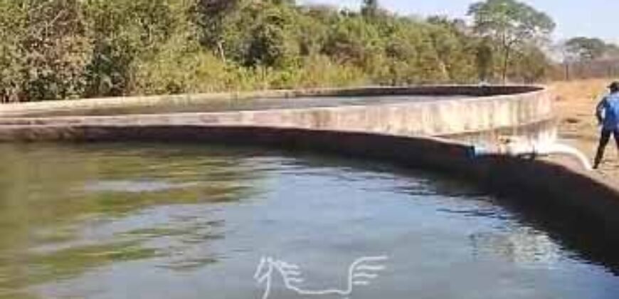 Fazenda Produtiva 13.977 ha Infra Completa no Vale do Araguaia | Cocalinho /MT