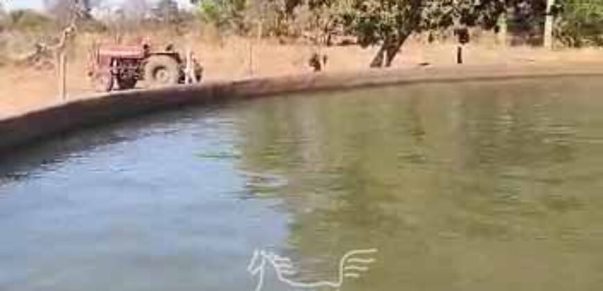 Fazenda Produtiva 13.977 ha Infra Completa no Vale do Araguaia | Cocalinho /MT