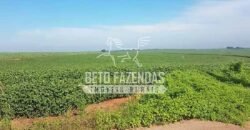 Fazenda de Cana à Venda 6.292 Hectares Região de Piracicaba/Capivari/Campinas/ SP