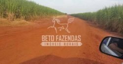 Fazenda de Cana à Venda 6.292 Hectares Região de Piracicaba/Capivari/Campinas/ SP