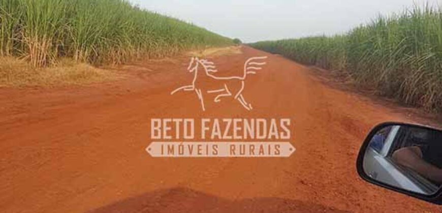 Fazenda de Cana à Venda 6.292 Hectares Região de Piracicaba/Capivari/Campinas/ SP