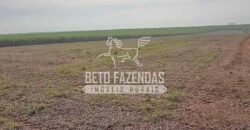 Fazenda de Cana à Venda 6.292 Hectares Região de Piracicaba/Capivari/Campinas/ SP