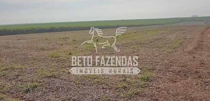 Fazenda de Cana à Venda 6.292 Hectares Região de Piracicaba/Capivari/Campinas/ SP