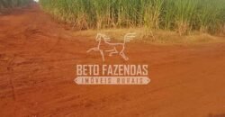 Fazenda de Cana à Venda 6.292 Hectares Região de Piracicaba/Capivari/Campinas/ SP