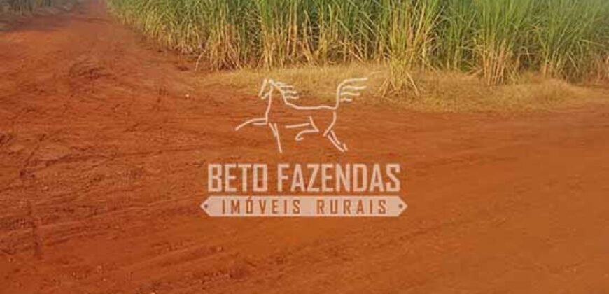 Fazenda de Cana à Venda 6.292 Hectares Região de Piracicaba/Capivari/Campinas/ SP