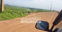 Fazenda de Cana à Venda 6.292 Hectares Região de Piracicaba/Capivari/Campinas/ SP