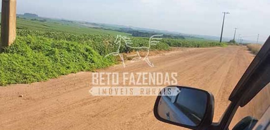 Fazenda de Cana à Venda 6.292 Hectares Região de Piracicaba/Capivari/Campinas/ SP