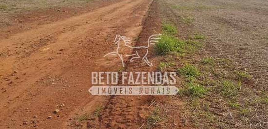 Fazenda de Cana à Venda 6.292 Hectares Região de Piracicaba/Capivari/Campinas/ SP