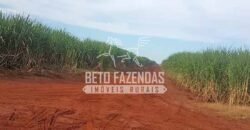 Fazenda de Cana à Venda 6.292 Hectares Região de Piracicaba/Capivari/Campinas/ SP