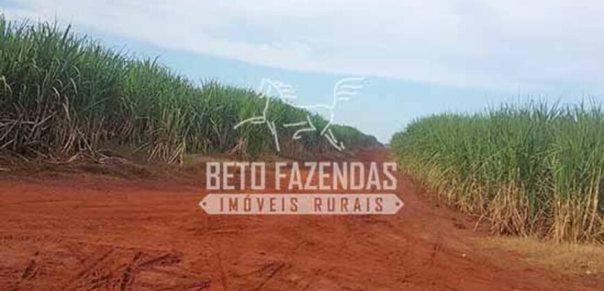 Fazenda de Cana à Venda 6.292 Hectares Região de Piracicaba/Capivari/Campinas/ SP