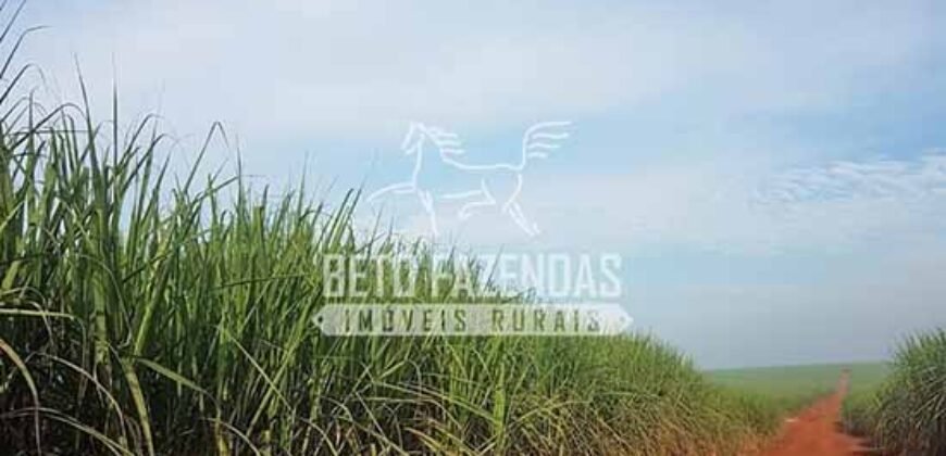 Fazenda de Cana à Venda 6.292 Hectares Região de Piracicaba/Capivari/Campinas/ SP